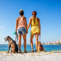 The Ultimate Guide to Pet Shops and Grooming Services in Palm Beach County, FL
