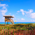 Exploring Organic and All-Natural Pet Food Options at Pet Shops in Palm Beach County, FL