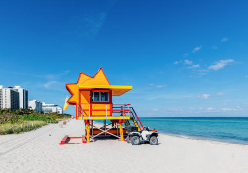 The Best Pet Shops in Palm Beach County, FL with Rewards Programs for Loyal Customers